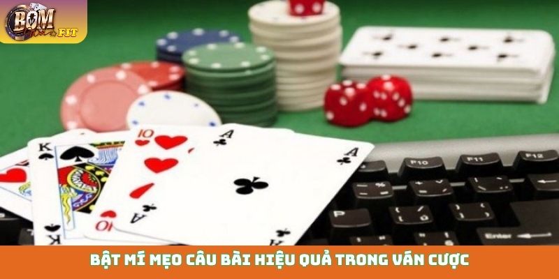 Bài Câu Cá - Luật chơi, mẹo hay thắng lớn dành cho tân binh Bật mí mẹo câu bài hiệu quả trong ván cược